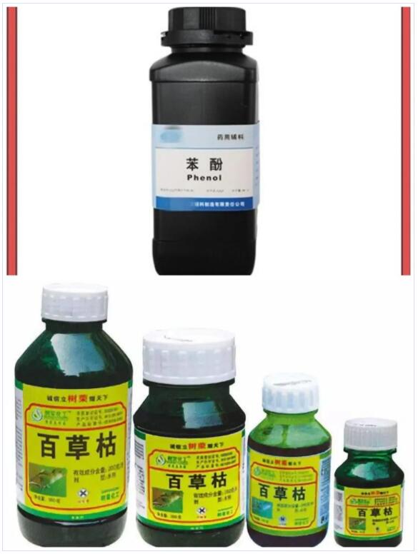 <a href='http://m.deep-3.cn' title='國(guó)際貨運(yùn)代理' >國(guó)際貨運(yùn)代理</a>